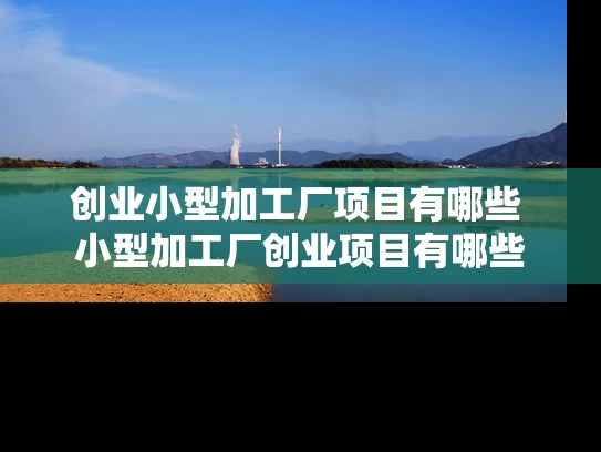 创业小型加工厂项目有哪些 小型加工厂创业项目有哪些 创业小型加工厂项目有哪些 小型加工厂创业项目有哪些