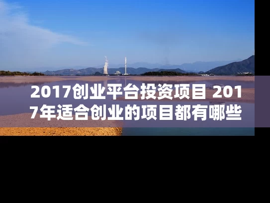2017创业平台投资项目 2017年适合创业的项目都有哪些