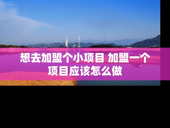 想去加盟个小项目 加盟一个项目应该怎么做