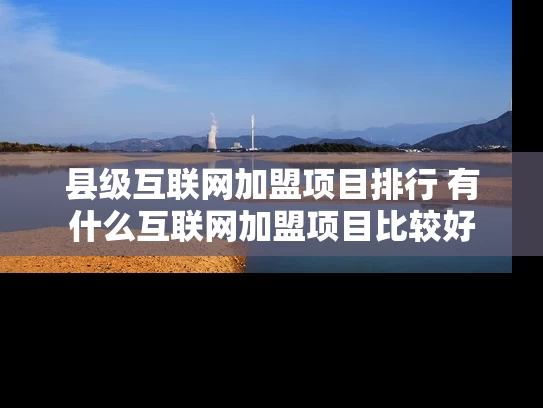 县级互联网加盟项目排行 有什么互联网加盟项目比较好