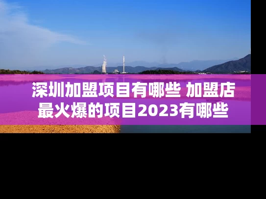 深圳加盟项目有哪些 加盟店最火爆的项目2023有哪些 深圳加盟项目有哪些 加盟店最火爆的项目2023有哪些