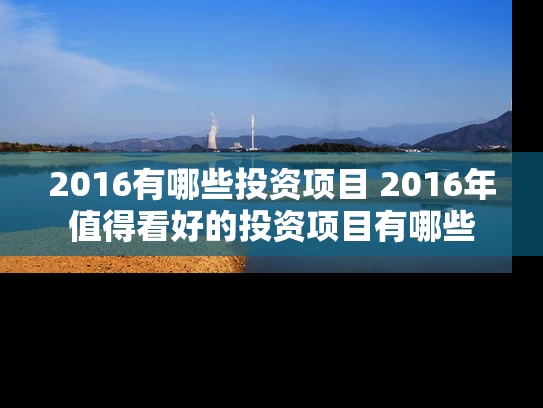 2016有哪些投资项目 2016年值得看好的投资项目有哪些