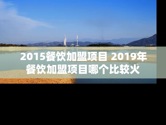2015餐饮加盟项目 2019年餐饮加盟项目哪个比较火 2015餐饮加盟项目 2019年餐饮加盟项目哪个比较火