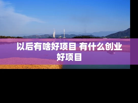 以后有啥好项目 有什么创业好项目