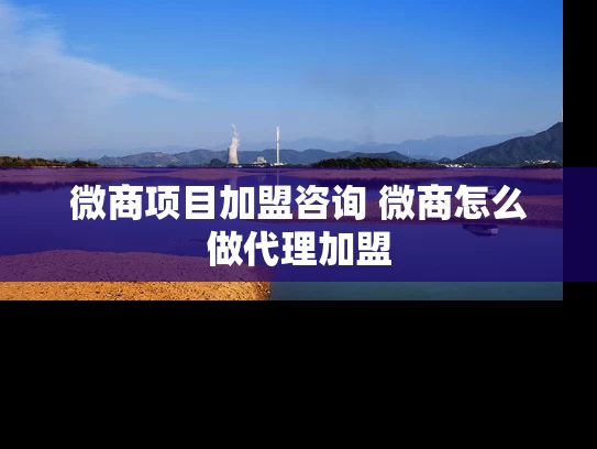 微商项目加盟咨询 微商怎么做代理加盟 微商项目加盟咨询 微商怎么做代理加盟
