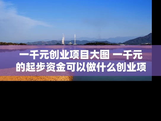 一千元创业项目大图 一千元的起步资金可以做什么创业项目