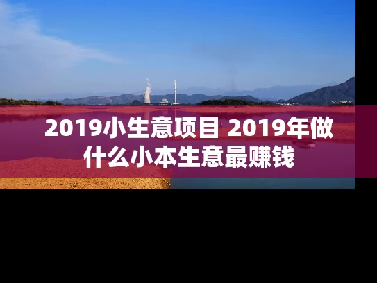 2019小生意项目 2019年做什么小本生意最赚钱