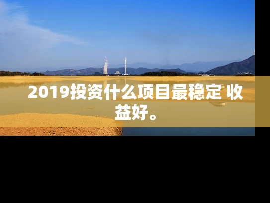 2019投资什么项目最稳定 收益好。