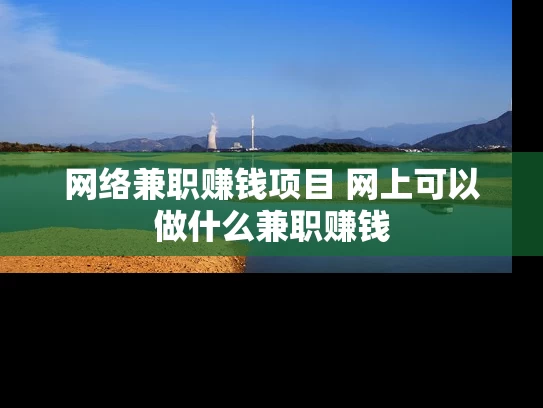 网络兼职赚钱项目 网上可以做什么兼职赚钱