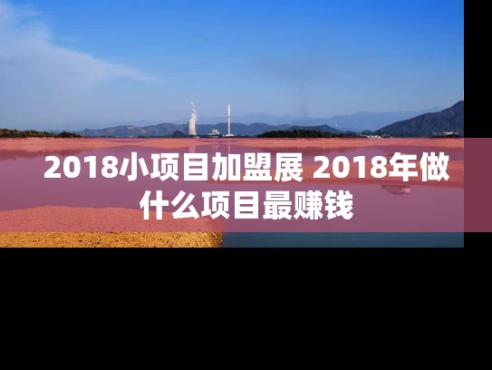 2018小项目加盟展 2018年做什么项目最赚钱