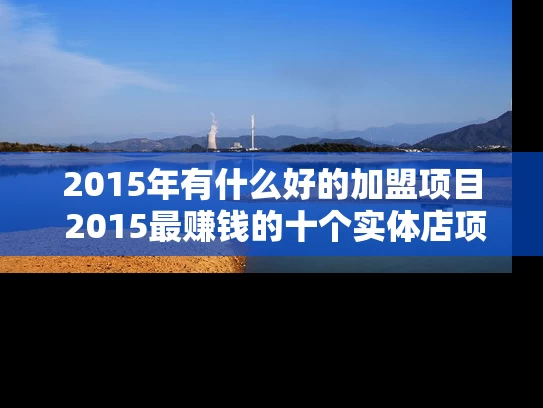 2015年有什么好的加盟项目 2015最赚钱的十个实体店项目