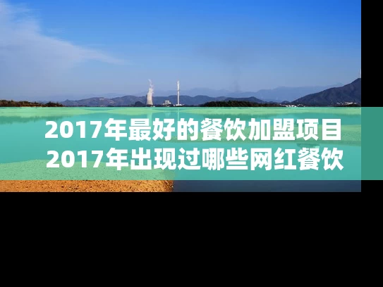 2017年最好的餐饮加盟项目 2017年出现过哪些网红餐饮加盟项目 2017年最好的餐饮加盟项目 2017年出现过哪些网红餐饮加盟项目