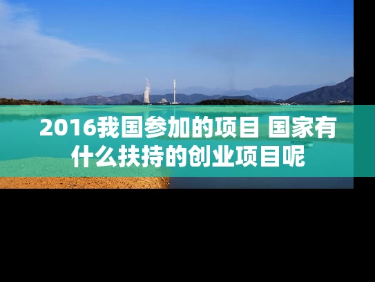 2016我国参加的项目 国家有什么扶持的创业项目呢