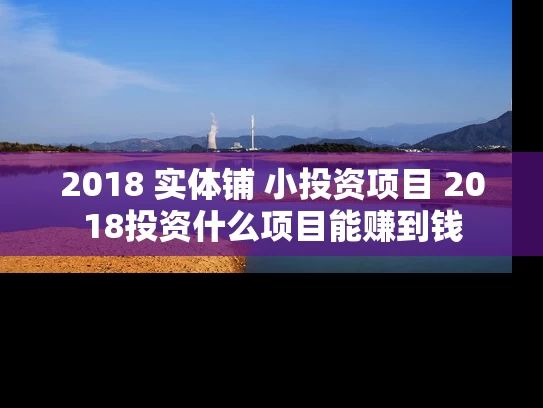 2018 实体铺 小投资项目 2018投资什么项目能赚到钱