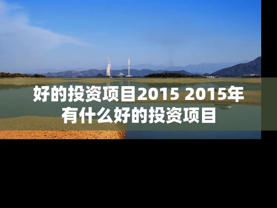 好的投资项目2015 2015年有什么好的投资项目