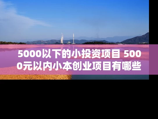 5000以下的小投资项目 5000元以内小本创业项目有哪些 5000以下的小投资项目 5000元以内小本创业项目有哪些