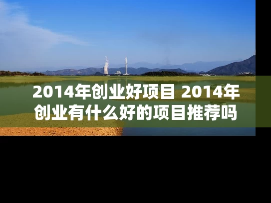 2014年创业好项目 2014年创业有什么好的项目推荐吗
