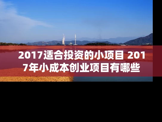 2017适合投资的小项目 2017年小成本创业项目有哪些