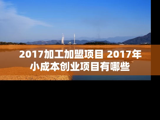 2017加工加盟项目 2017年小成本创业项目有哪些 2017加工加盟项目 2017年小成本创业项目有哪些