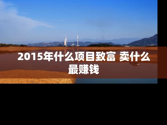 2015年什么项目致富 卖什么最赚钱
