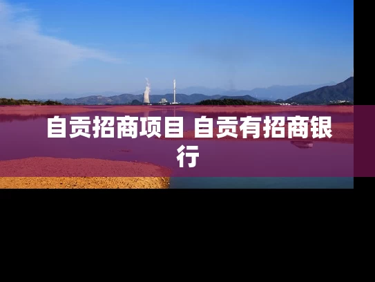 自贡招商项目 自贡有招商银行