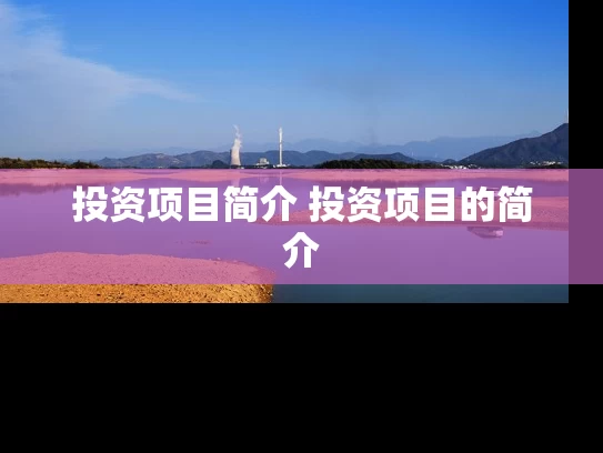 投资项目简介 投资项目的简介 投资项目简介 投资项目的简介