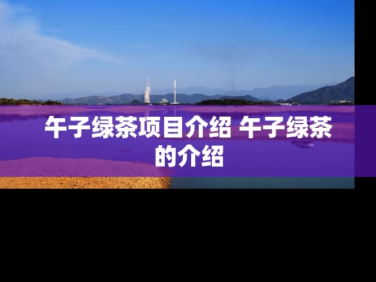 午子绿茶项目介绍 午子绿茶的介绍