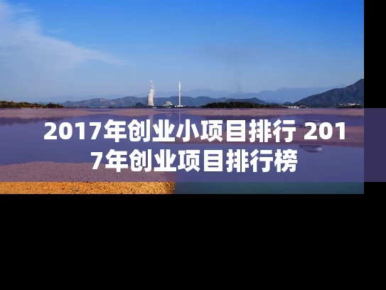 2017年创业小项目排行 2017年创业项目排行榜 2017年创业小项目排行 2017年创业项目排行榜