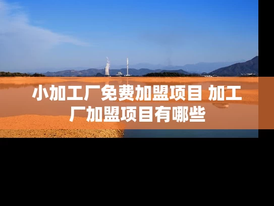 小加工厂免费加盟项目 加工厂加盟项目有哪些