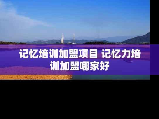 记忆培训加盟项目 记忆力培训加盟哪家好 记忆培训加盟项目 记忆力培训加盟哪家好