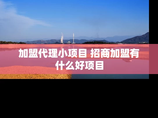 加盟代理小项目 招商加盟有什么好项目