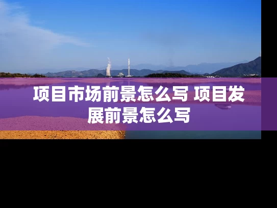 项目市场前景怎么写 项目发展前景怎么写 项目市场前景怎么写 项目发展前景怎么写