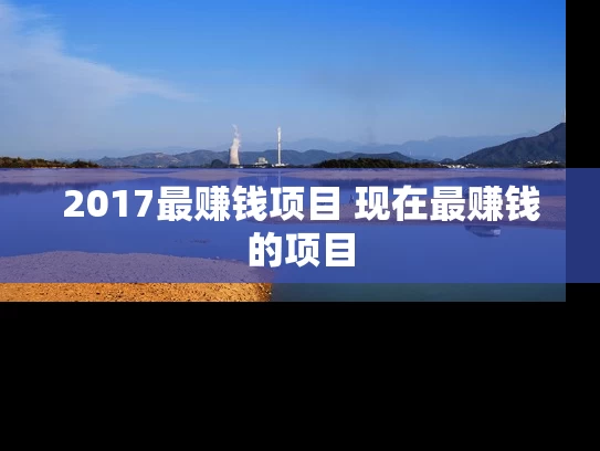 2017最赚钱项目 现在最赚钱的项目