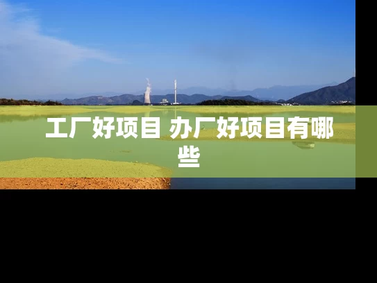 工厂好项目 办厂好项目有哪些