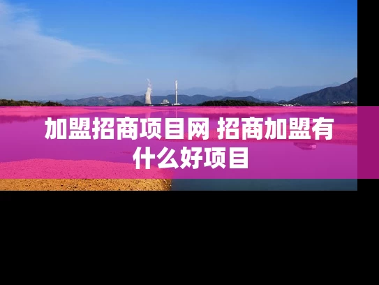 加盟招商项目网 招商加盟有什么好项目