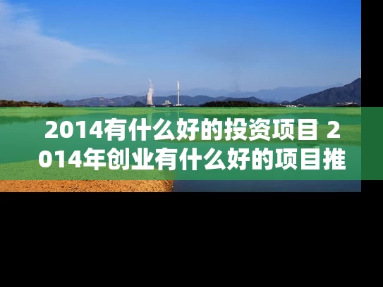 2014有什么好的投资项目 2014年创业有什么好的项目推荐吗
