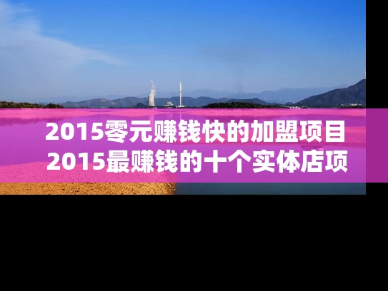 2015零元赚钱快的加盟项目 2015最赚钱的十个实体店项目
