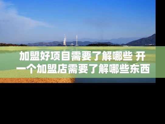 加盟好项目需要了解哪些 开一个加盟店需要了解哪些东西 加盟好项目需要了解哪些 开一个加盟店需要了解哪些东西