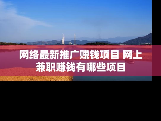 网络最新推广赚钱项目 网上兼职赚钱有哪些项目