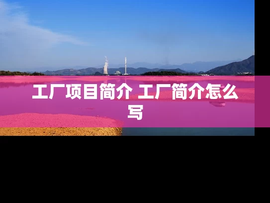 工厂项目简介 工厂简介怎么写