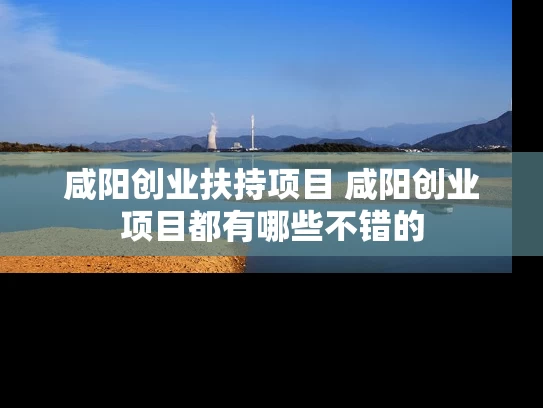 咸阳创业扶持项目 咸阳创业项目都有哪些不错的