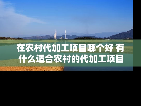 在农村代加工项目哪个好 有什么适合农村的代加工项目 在农村代加工项目哪个好 有什么适合农村的代加工项目