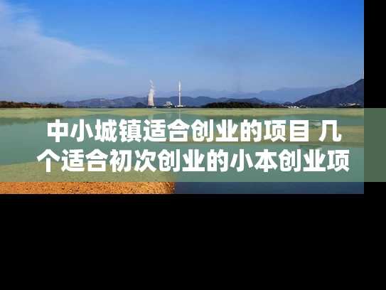 中小城镇适合创业的项目 几个适合初次创业的小本创业项目