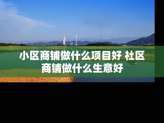 小区商铺做什么项目好 社区商铺做什么生意好