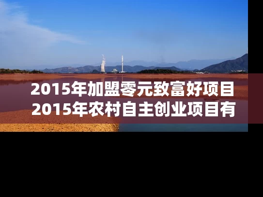 2015年加盟零元致富好项目 2015年农村自主创业项目有什么