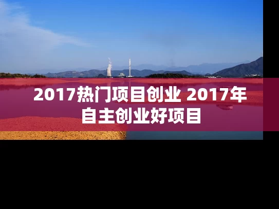 2017热门项目创业 2017年自主创业好项目
