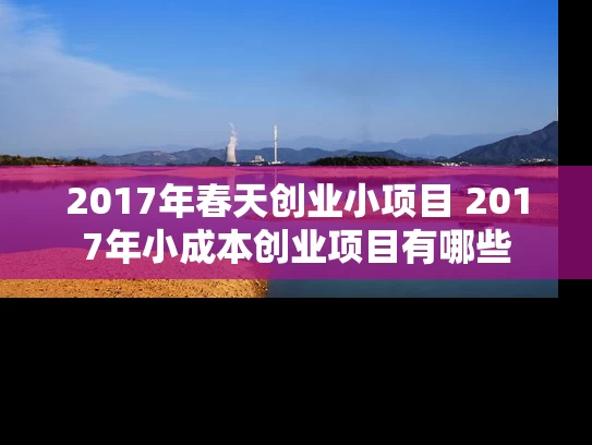 2017年春天创业小项目 2017年小成本创业项目有哪些