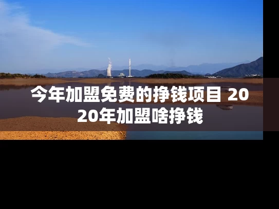 今年加盟免费的挣钱项目 2020年加盟啥挣钱
