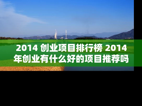 2014 创业项目排行榜 2014年创业有什么好的项目推荐吗