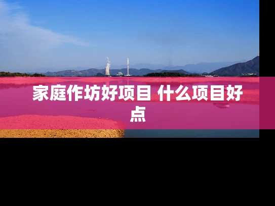 家庭作坊好项目 什么项目好点